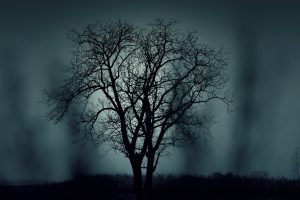 Spooky halloween tree 